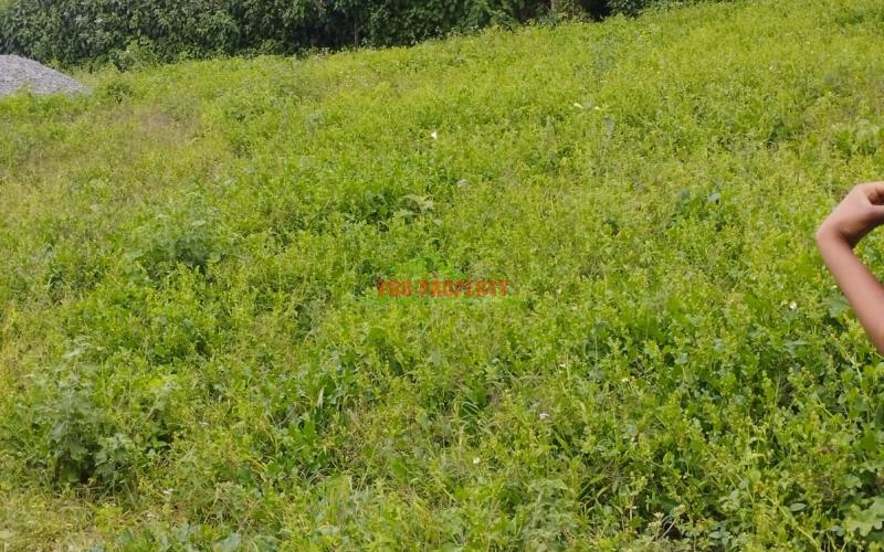 Prime  60by100ft Plot For Sale In Kikuyu-ondire