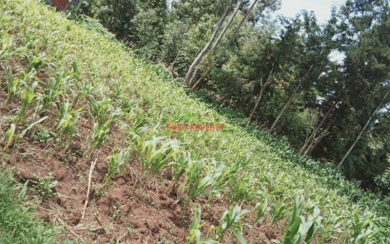 Prime 100 By 100 Residential Plot For Sale In Kikuyu, Kamangu
