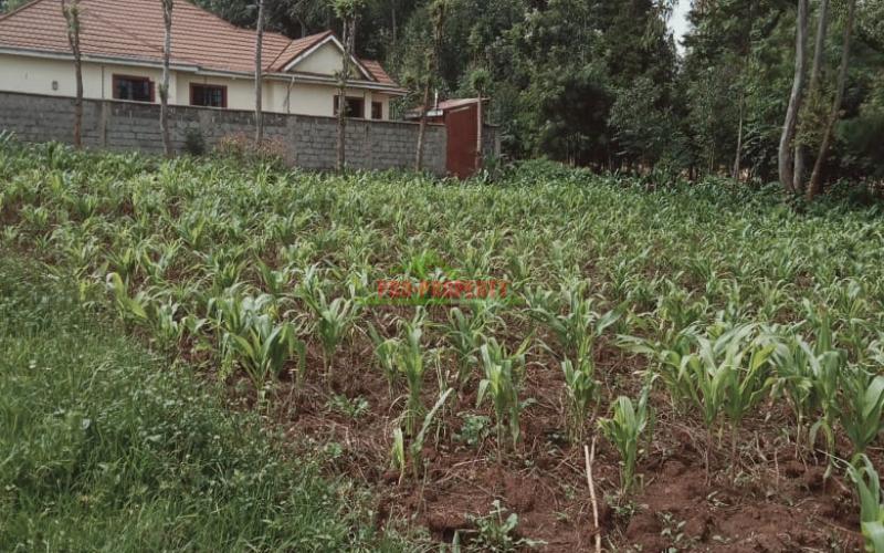 Prime 100 By 100 Residential Plot For Sale In Kikuyu, Kamangu