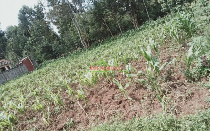 Prime 100 By 100 Residential Plot For Sale In Kikuyu, Kamangu