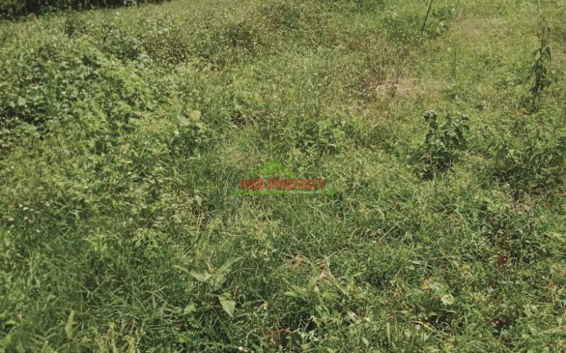 Prime 50 By 100 Residential Plots For Sale In Kikuyu Kamangu