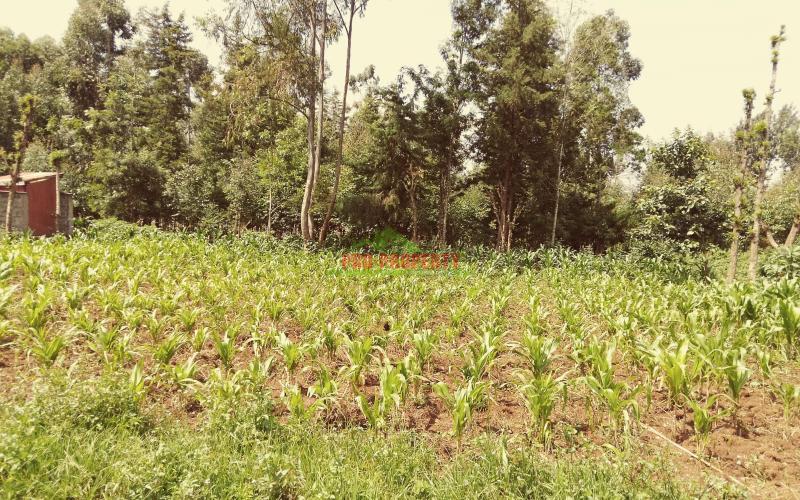 Prime Residential 100 ×100 Plot For Sale Along Ondiri Road