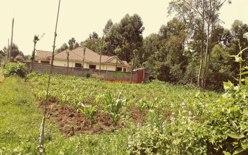 Prime Residential 100 ×100 Plot For Sale Along Ondiri Road