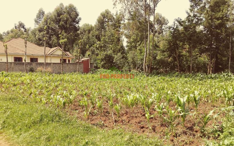 Prime Residential 100 ×100 Plot For Sale Along Ondiri Road