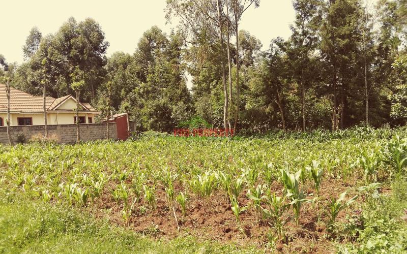 Prime Residential 100 ×100 Plot For Sale Along Ondiri Road