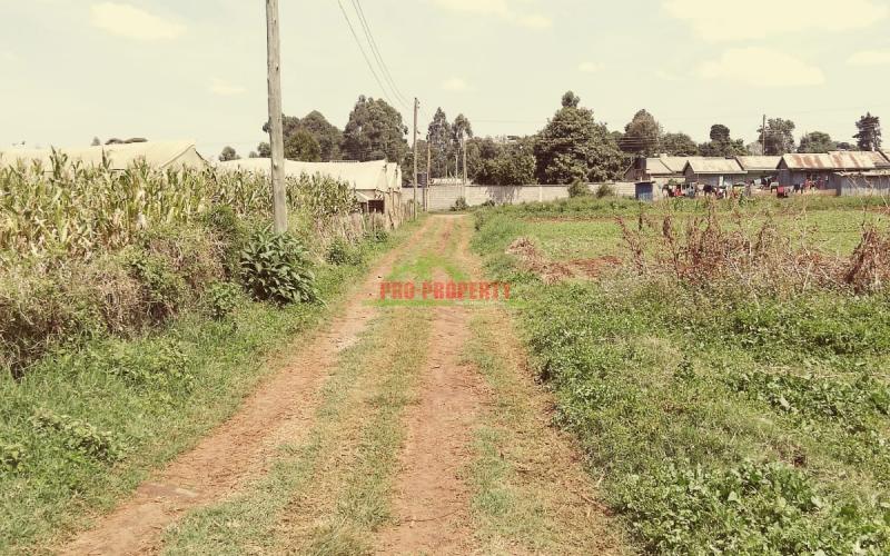 Prime Residential 100 ×100 plot for sale along Ondiri Road