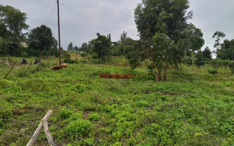 Prime Residential  100 × 100 Touching Tarmac Plots For Sale In Lusingeti