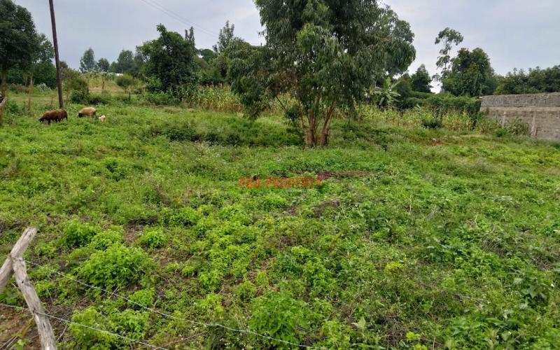 Prime Residential Plot For Sale In Kikuyu, Lusingetti