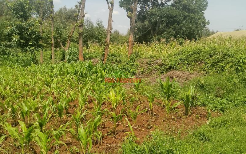 Prime Residential 100 By 100 Plot For Sale