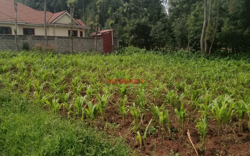 Prime Residential 100 By 100 Plot For Sale