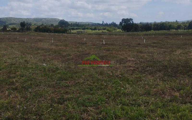 Real Estate Investment Opportunity In Nachu,lusingetti