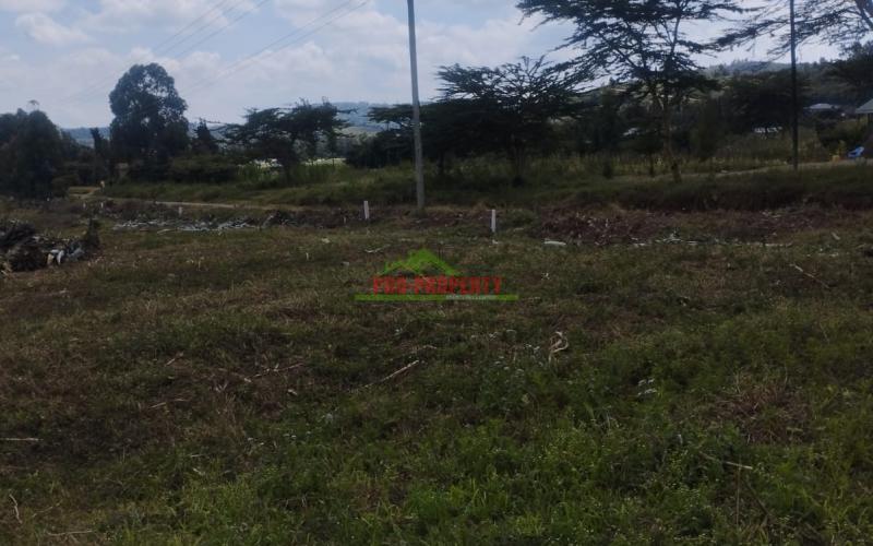 Real Estate Investment Opportunity In Nachu,lusingetti