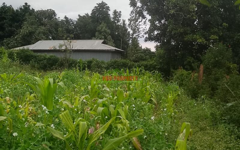 Prime Residential 50 By 100 Plot For Sale