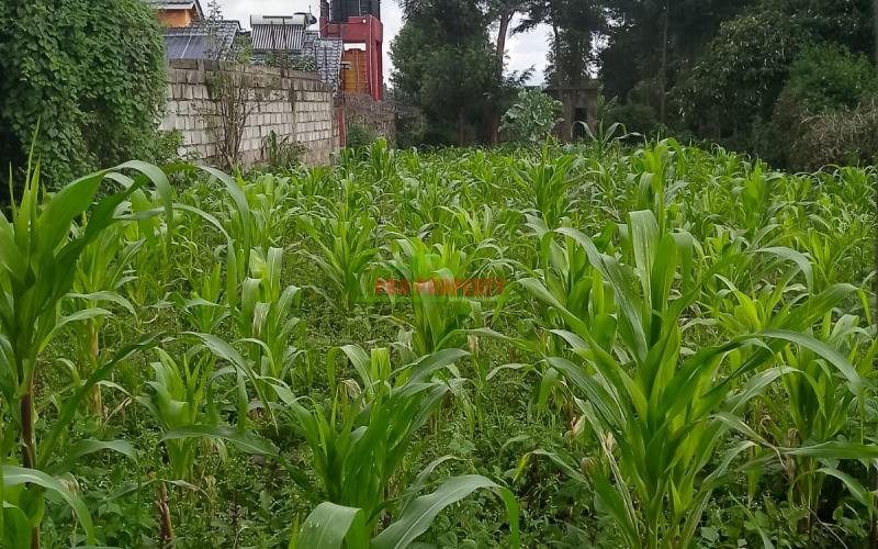 Prime Commercial Plot Touching Tarmac For Sale In Kikuyu, Thogoto