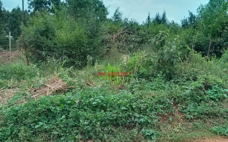 Prime Plots For Sale In Gikambura