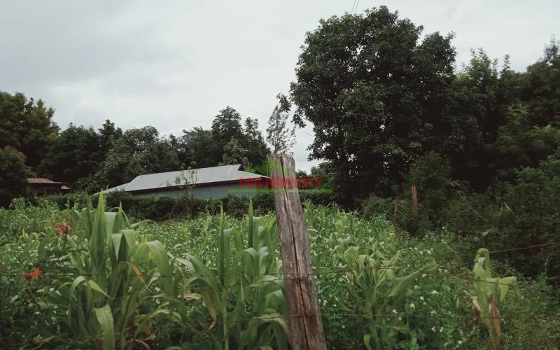 Prime 50 By 100 Plot For Sale In Kikuyu, Gikambura