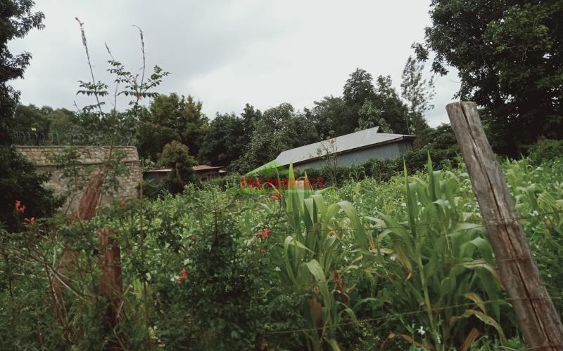 Prime 50 By 100 Plot For Sale In Kikuyu, Gikambura