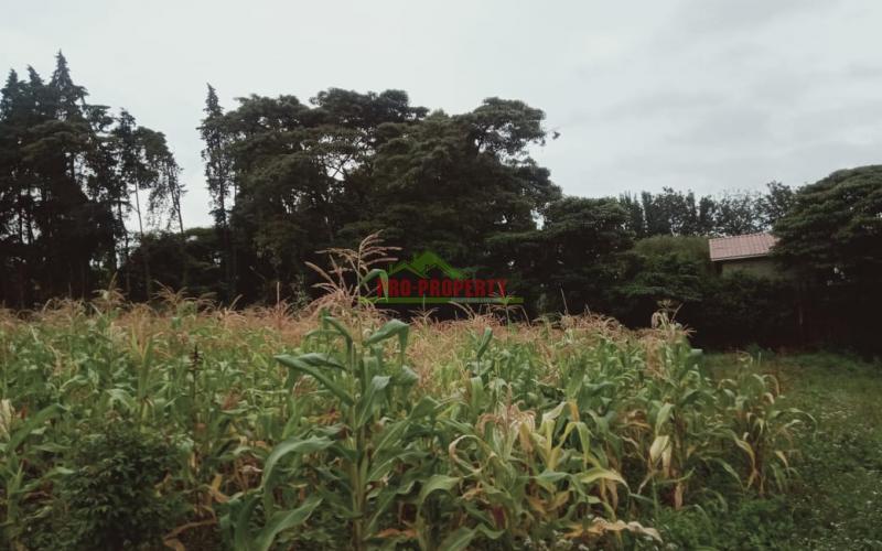 Prime 50 By 100 Residential Plots For Sale In Kikuyu Gikambura