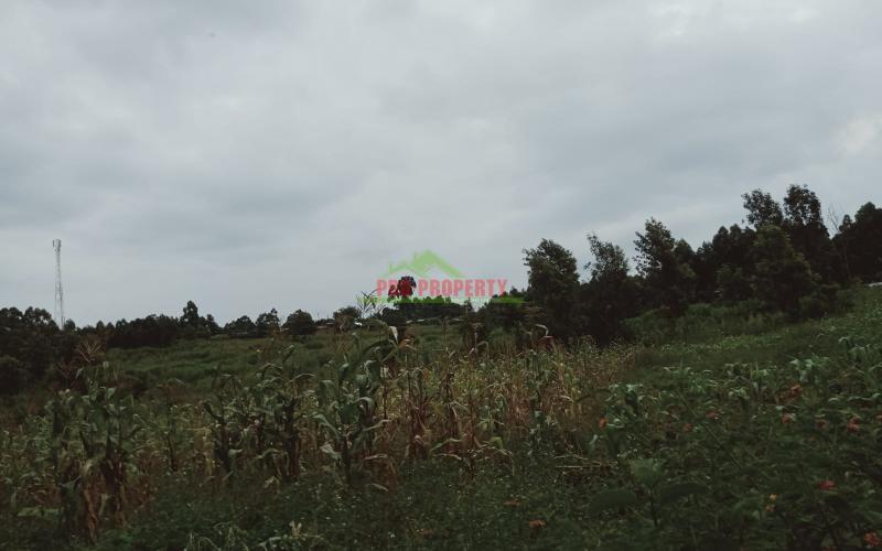 Prime 80 By 100 Residential Plot For Sale In Kikuyu, Gikambura