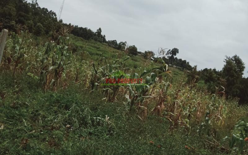 Prime 80 By 100 Residential Plot For Sale In Kikuyu, Gikambura