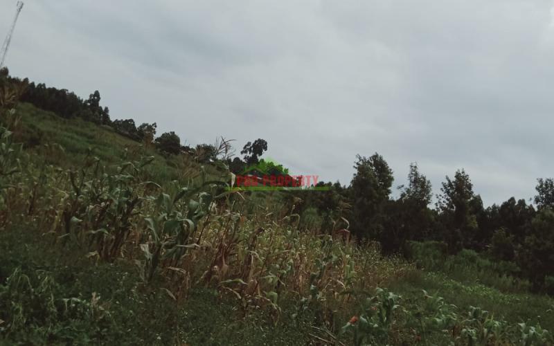 Prime 80 By 100 Residential Plot For Sale In Kikuyu, Gikambura