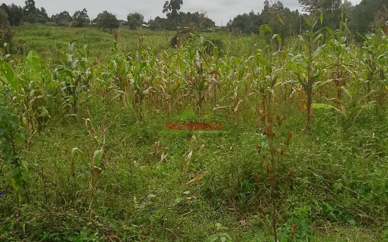 Prime Residential 50 By 100 Plot For Sale