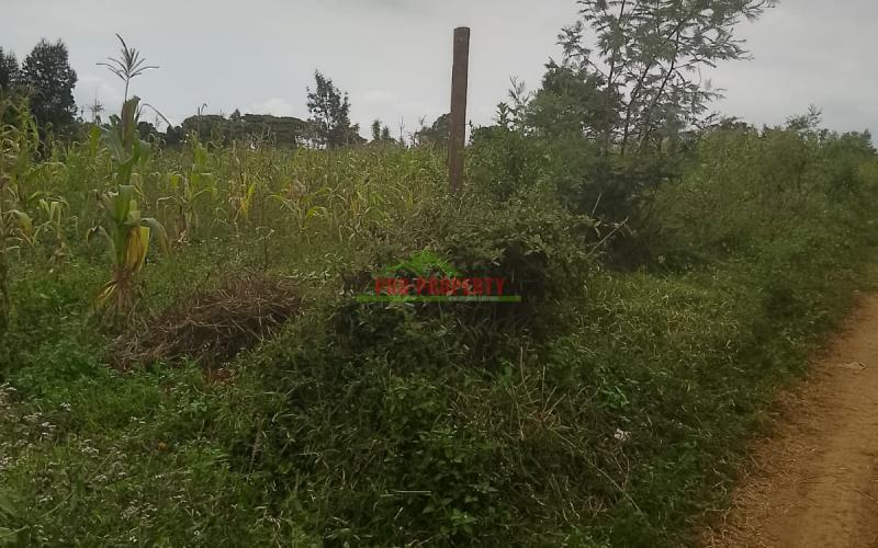 Prime Residential 50 By 100 Plot For Sale