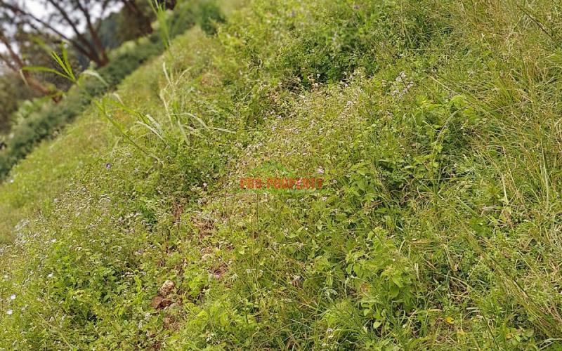 Ready To Build Plots For Sale In Ondiri, Kikuyu