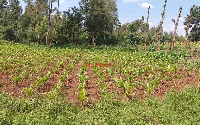 Ready To Build Plots For Sale In Ondiri, Kikuyu