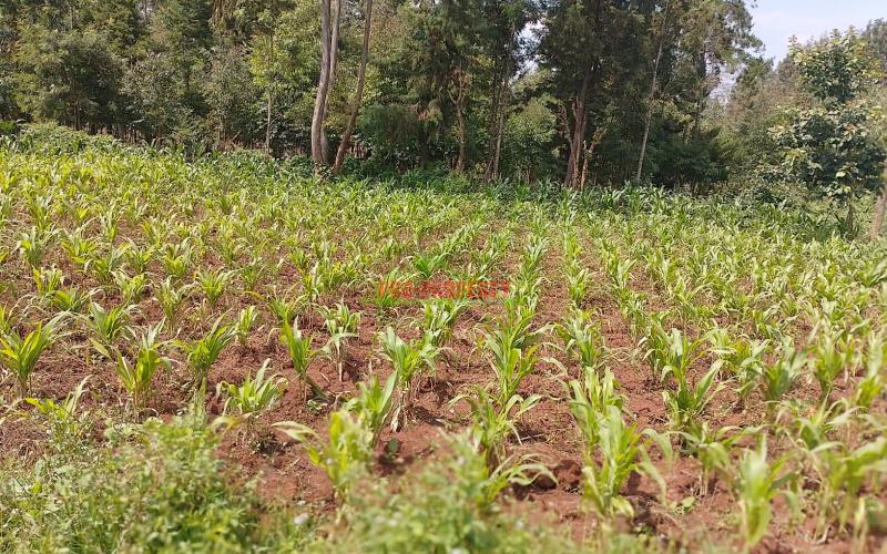 Ready To Build Plots For Sale In Ondiri, Kikuyu