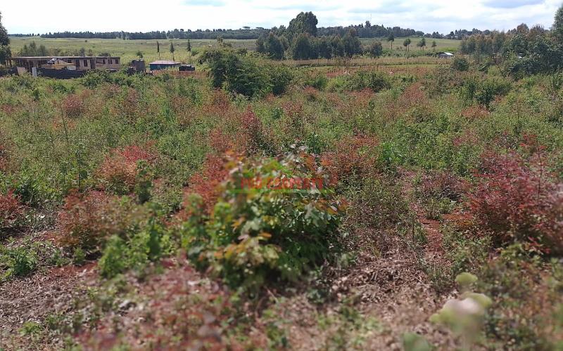 Ready To Build Plots For Sale In Ondiri, Kikuyu
