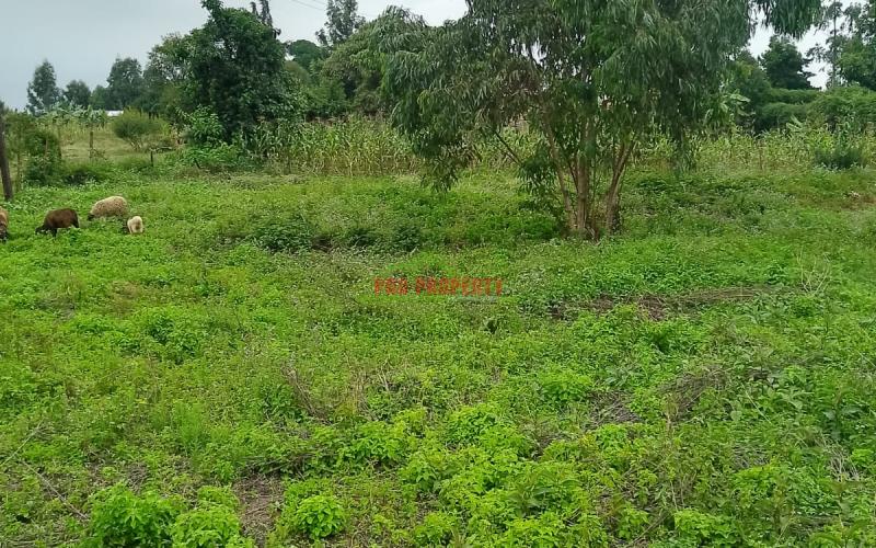 Prime Commercial 100 By 100 Plot For Sale