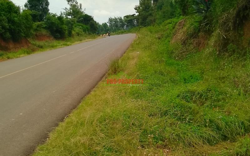 Prime commercial 100 by 100 plot for sale