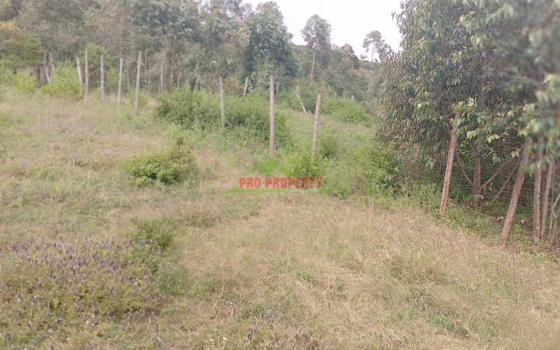 Ready To Build Plot For Sale In Nachu Area