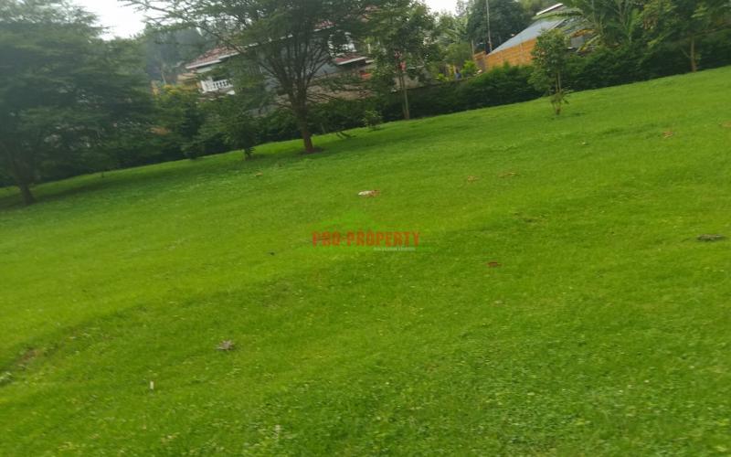 Prime Residential 100 × 100 Plots For Sale In Ngong, Tulivu Estate