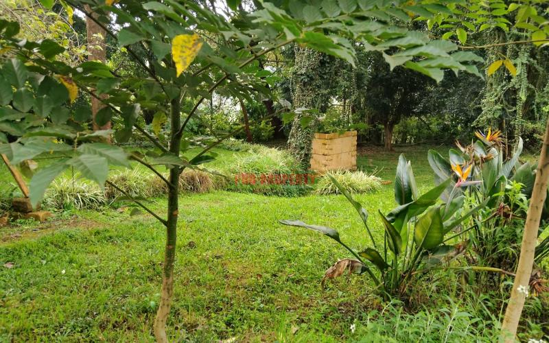 Prime Residential 100 × 100 Plots For Sale In Ngong, Tulivu Estate