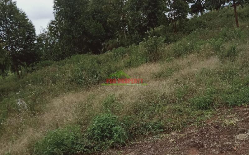 Prime Residential 50 By 100 Plots For Sale In A Gated Community In Kikuyu, Gikambura Area