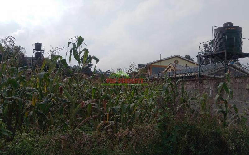 A1 Ready To Build ¼ Acre Plots For Sale