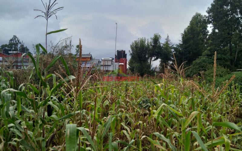 Prime Commercial 100 × 100 touching tarmac plot for sale