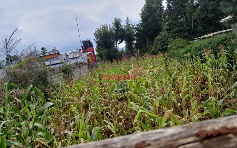 Prime Commercial 100 × 100 Touching Tarmac Plot For Sale