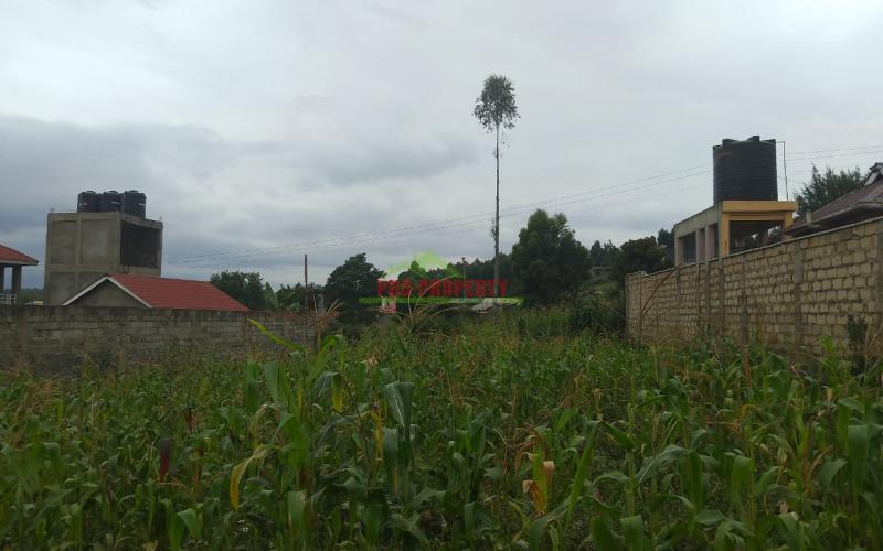 Prime Residential 50 × 100 Plots For Sale