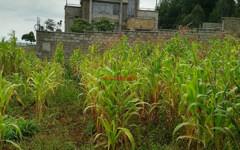 Prime 50 By 100 Residential Plot For Sale In Kikuyu Gikambura