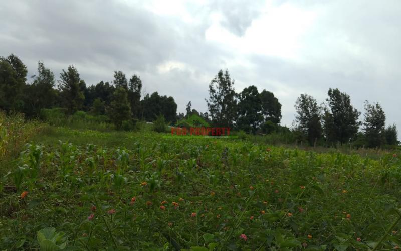 Prime Residential 70 By 100 Plot For Sale In Ngando, Gikambura