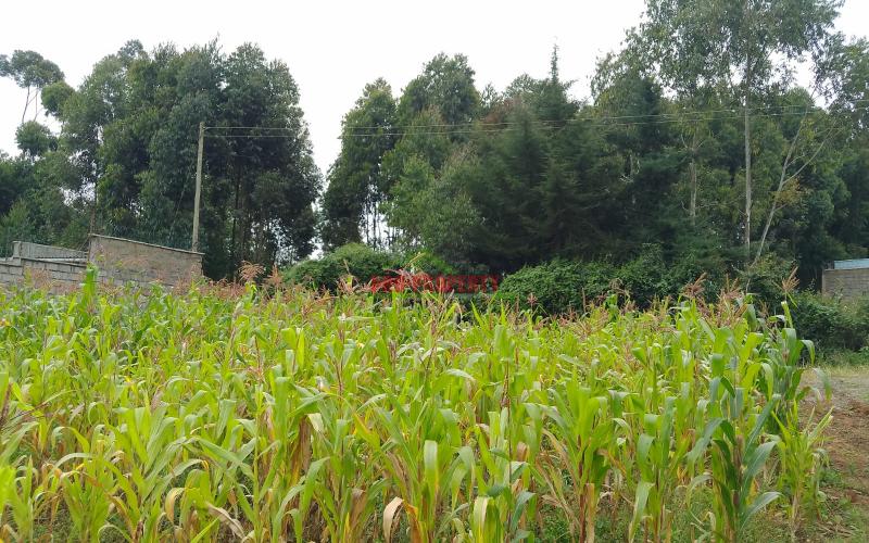 Prime Residential 50 By 100 Plot For Sale Opposite Jambu Tv