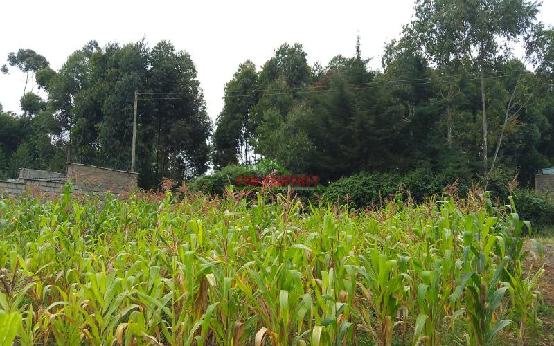 Prime Residential 50 by 100 plot for sale opposite Jambu tv