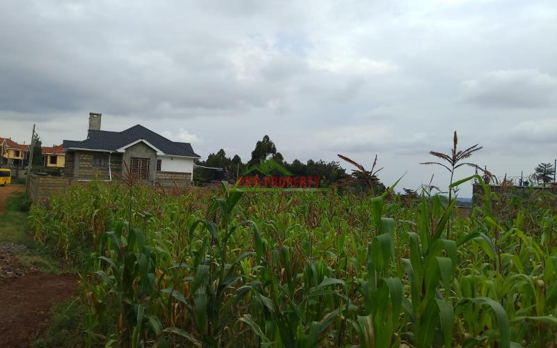 Prime Residential 50 By 100 Plot For Sale Opposite Jambu Tv