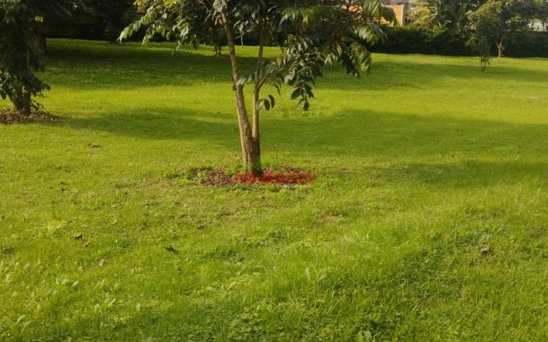 Prime 100by100 residential plots in Ng'ong( TULIVU ESTATE)