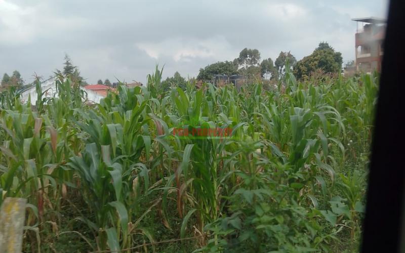 Prime Residential Plot For Sale In Sigona