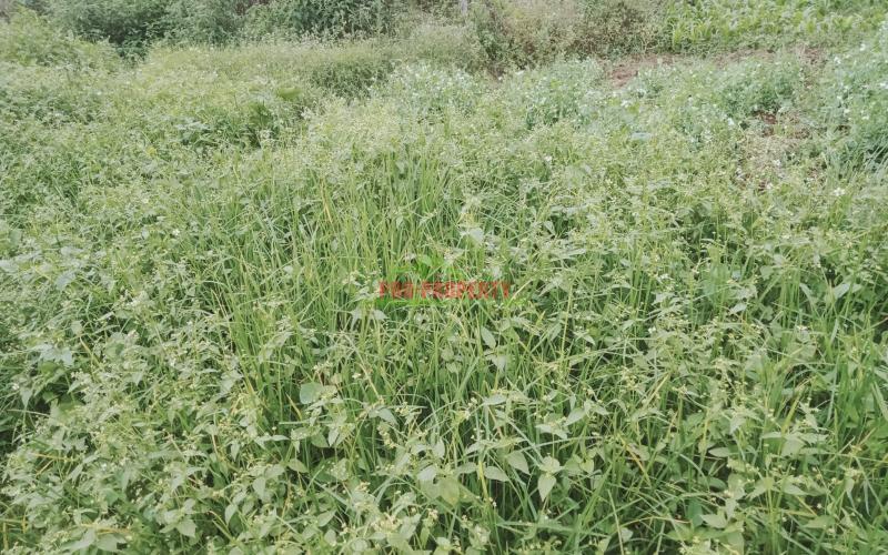 Prime 100 By 100 Commercial Plot For Sale In Kikuyu Sigona, Along Waiyaki Way