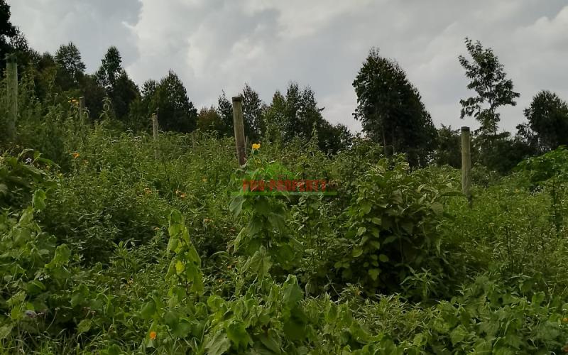 Prime Residential 50 By 100 Plot For Sale